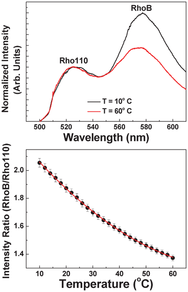 (a) Emission spectra of the solution containing both Rhodamine B and Rhodamine 110 as obtained at two different temperatures (10 and 60 °C). (b) Temperature evolution of the ratio between the emitted intensities generated from Rhodamine B and Rhodamine 110. Dots are experimental data and the solid line is the polynomial fit that is used for temperature sensing.