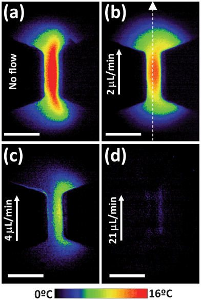 Thermal images of one of the narrow sections of the structure depicted in Fig. 1(a) in the presence of an applied electric field of 500 V cm−1 as obtained for different flow rates. Arrow indicates the direction of the flow. Scale bar is 200 μm in all the cases. Results obtained with the epi-fluorescence microscope described in the text.