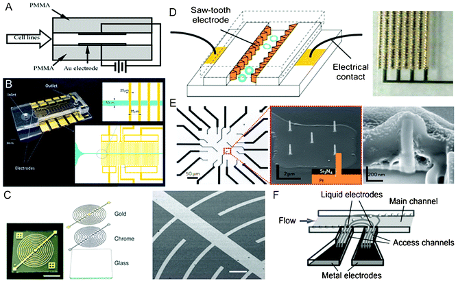 Electrode incorporation and configuration. (A) Schematics of parallel Au plate electrodes patterned in a PMMA straight channel for continuous flow-through electroporation.42 Reproduced with permission from ref. 42. Copyright 2001 Elsevier. (B) A PDMS/glass straight channel patterned with planar Au interdigitated electrodes with rectangular strips.71 Reproduced with permission from ref. 71. Copyright 2013 American Chemical Society. (C) Optical and SEM images of Au interdigitated electrodes with curved strips. The electrodes were fabricated by sputtering two metal layers (chrome and Au) on a glass substrate.77 Reproduced with permission from ref. 77. Copyright 2011 The Royal Society of Chemistry. (D) Schematics and image of 3D Au saw-tooth vertical sidewall electrodes embedded in a straight channel.89 Reproduced with permission from ref. 89. Copyright 2005 The Royal Society of Chemistry. (E) Optical and SEM images of a four-by-four nanopillar (1.5 μm tall and 150 nm in diameter) platinum electrode array, and SEM image of cell-nanopillar interactions.99 Reproduced by permission from ref. 99. Copyright 2012 from Macmillan Publishers Ltd. (F) Schematics of the principle of “liquid electrodes”.106 Reproduced with permission from ref. 106. Copyright 2007 The Royal Society of Chemistry.