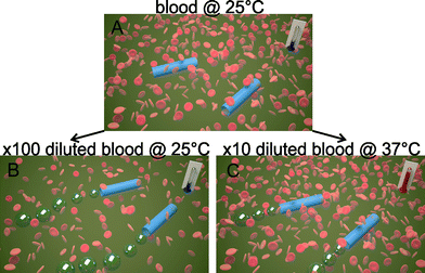 Schematic representation of the behaviour of microjet engines in reconstituted blood samples. A) Inactive tubes at 25 °C at real blood concentration. B) Microjets self-propel at 25 °C when blood samples are 100× diluted. C) Microjets can also self-propel if 10× diluted blood is kept at a physiological temperature of 37 °C.