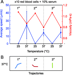 Blood 10× diluted in 10 wt.% serum. A) Average speed of Fe/Pt microjets warming up the solution from 25 °C to 37 °C in three consecutive thermal cycles. B) Tracked trajectories (4 s) for the 3 cycles at 37 °C of representative microjets.