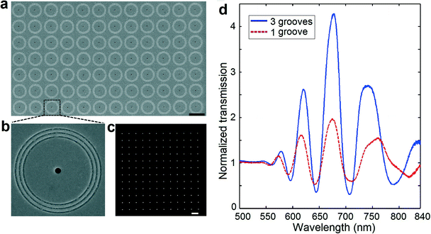 The fabricated interferometer array and spectroscopy characterization. SEM images of the fabricated interferometer array (a) and one of the interferometers (b). Scale bar: 10 μm. (c) The bright-field microscopy image of the device. The center-to-center distance between each interferometer is 12.5 μm, and the sensor array footprint is 150 × 150 μm2. Scale bar: 10 μm. (d) Experimental spectra for plasmonic interferometer arrays with three circular grooves (blue solid curve) and single circular grooves (red dashed curve).