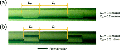 Images of segmented flow in the capillary microreactor. (a) Decane–water flow. (b) Nitrogen–water flow. QO, QA and QG are the flow rates of the organic, aqueous, and gas phases, respectively. LD, LS and LB are the lengths of a droplet, a liquid slug and a bubble, respectively.