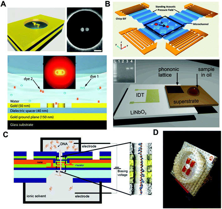 (A) Nano-antenna pair for single-molecule surface enhanced Raman scattering (sm-SERS). The scale bar is 90 nm. The molecule can be trapped at the “hot spot” of the nano-antenna and SERS signals can be enhanced via the directionality of the antenna to achieve single-molecule SERS detection. (B) Surface acoustic waves (SAW)-based acoustic tweezers. Acoustic tweezers can manipulate single particles and cells in a biocompatible manner (top). SAW-based PCR utilizing photonic crystals to modulate SAWs for real-time PCR (bottom). The inset is an electrophoretic gel analysis of the amplicon from the real-time PCR on SAW. (C) “DNA transistor” for a next-generation genomic reader. A single-stranded DNA is passing through the nanopore under the influence of an electric field. Bias voltages are applied through the nanopore structure to control the speed of ssDNA travelling inside the nanopore. The precision of the signal readout is expected to reach single-nucleotide level. (D) A schematic representation of the commercial “SMRT” cell product developed by Pacific Bioscience for DNA sequencing using ZMW technology. Images are reproduced from ref. 76, 104, 106, 113 and 117.