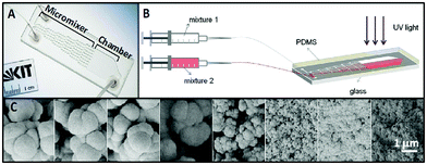 (A) A PDMS-based microfluidic device for generating polymer films with pore size gradients. The chip consisted of a network of zigzag mixing channels and a reaction chamber. (B) A polymer gradient film was created by injecting polymer mixtures containing porogen into the device using a syringe pump, and polymerization of polymer gradient was carried out with UV light. (C) The gradient porous film was generated after removing porogens from the polymer film. Figure adapted and reprinted with permission from Langmuir from Kreppenhofer et al.8