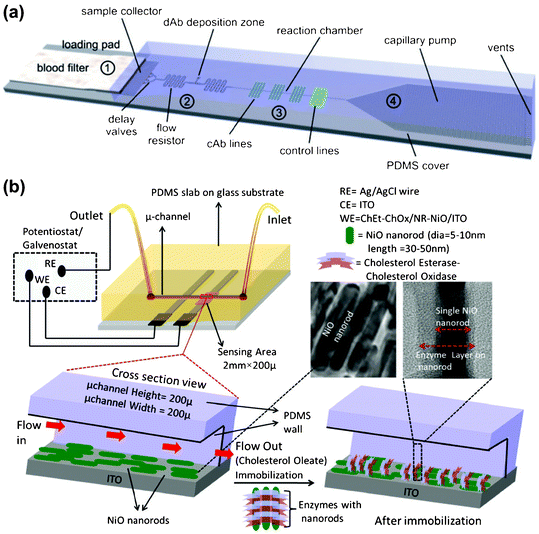 (a) The schematic of the one-step, capillary-driven, POC CRP detection device; (b) The microfluidic chip based on nickel oxide nanorods (NRs-NiO) used for the detection of total cholesterol. Images reproduced from ref. 74 and 84 with permissions from the Royal Society of Chemistry.