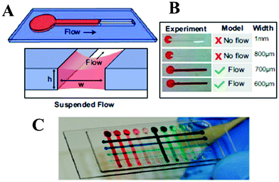 Spontaneous capillary flow describes fluid flow in a channel without a ceiling or a floor. (A) A suspended microfluidic channel with height (h) and width (w) that is open on the top and bottom surfaces can enable flow. (B) Prediction by the analytical model is validated experimentally. (C) Multiplexed screening chip with 4 × 10 array of μDots. Figure adapted and reprinted with permission from Casavant et al., Proc. Natl. Acad. Sci. U. S. A., 2013, 110, 10111–10116.