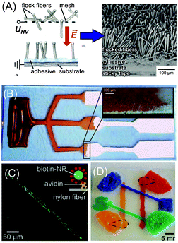 Flock-based microfluidics. (A) The process of manufacturing flocked substrates and an SEM image of a typical flocked substrate. (B) A typical microfluidic network formed from a flocked substrate to perform triple assays using capillary flow. The inset shows the filling front of colored water wicked through the flocked substrate. (C) Immobilized biotinylated nanoparticles on the flocked substrate as a proof-of-concept for performing lateral flow assays. (D) A 3D network of microchannels fabricated by subsequent stacking and flocking on a substrate. Figure adapted and reprinted with permission from Hitzbleck et al.8 Copyright © 2013 WILEY-VCH Verlag GmbH & Co. KGaA, Weinheim.