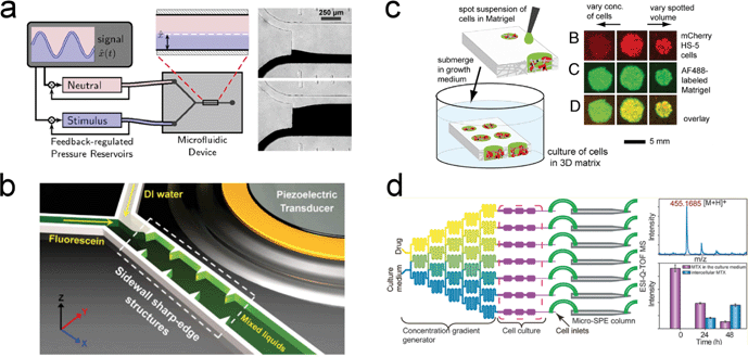 State-of-the-art technologies that can potentially be integrated into current organs-on-chips devices for improving drug discovery results. (a) Diffusion-based and (b) acoustofluidic devices for precise spatiotemporal control of biochemical environments. (c) Paper-based microfluidic structure as an alternative material for future organs-on-chips. (d) Integrated microfluidic device coupled with an electrospray ionization quadrupole time-of-flight mass spectrometer (ESI-Q-TOF MS) to achieve multi-parametric measurements. Images reproduced from ref. 95 with permission from the Public Library of Science; ref. 97 with permissions from the Royal Society of Chemistry; ref. 119 with permissions from the National Academy of Sciences, USA; and ref. 123 with permission from the American Chemical Society.