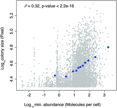 Relationship between colony size (DHFR-PCA signal) and the abundance of the least expressed protein of interacting pairs. Grey dots represent raw data and blue dots binned data.