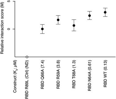 DHFR-qPCA signal for interactions between Ras and different RBD mutants. PCA signal increases with a decrease in Kd of the different mutant Ras–RBD protein complexes. The R89L mutant shows no interaction and its M score is arbitrarily set on this graph. The numbers in parenthesis indicate the Kd of each complex in μM units. Seventeen independent biological replicates in two independent experiments were used to perform DHFR-qPCA assays for each Ras–RBD complex.