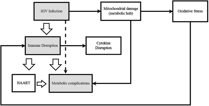 A schematic representation of how HIV infection triggers immune system disruption which then leads to metabolic complications is indicated. The associated changes triggered by the immune and metabolic systems or HIV directly are also presented.