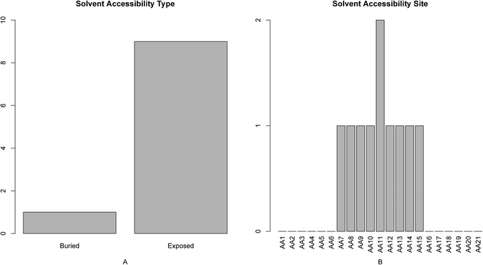 Bar plots showing the distribution in the final optimal feature set for (A) the solvent accessibility score, and (B) the corresponding specific site score. It can be seen from panel A that the score of the solvent accessibility with exposed characteristics was greater than the buried, indicating that features of exposed solvent accessibility are more important for active site determination. It can be seen from panel B that the features of solvent accessibility at site 11 impact the active site determination relatively more.