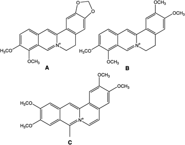 Chemical structures of (A) berberine, (B) palmatine and (C) coralyne.