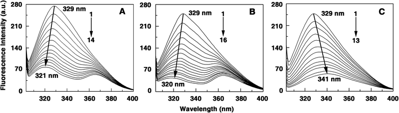 Steady state fluorescence emission spectra of hemoglobin (10 μM) treated with various concentrations of (A) berberine, (B) palmatine and (C) coralyne in 10 mM CP buffer, pH = 7.2. In panel (A) curves (1–14) denote 0, 3.1, 6.1, 9.1, 12.2, 15.2, 18.3, 21.3, 24.3, 27.3, 30.3, 33.3, 36.3 and 39.2 μM of berberine, (B) curves (1–16) denote 0, 2.7, 5.5, 8.2, 10.9, 13.6, 16.3, 19.1, 21.7, 24.4, 27.1, 29.8, 32.4, 35.2, 37.8 and 40.5 μM of palmatine and (C) curves (1–13) denote 0, 0.9, 1.8, 2.7, 4.5, 6.3, 8.1, 9.9, 11.7, 13.4, 14.3, 16.9 and 18.7 μM of coralyne, respectively.