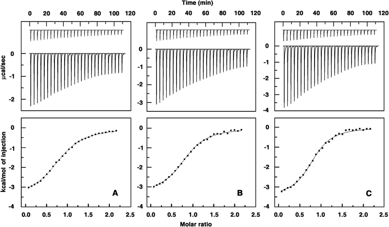 ITC profiles for the binding of alkaloids to Hb. Top panels present raw results for the sequential injection of hemoglobin (1.0 mM) into solutions of (A) berberine (0.1 mM), (B) palmatine (0.1 mM) and (C) coralyne (0.1 mM) in CP buffer, pH = 7.2 at 25 °C and dilution of Hb into buffer (not in scale). The bottom panels show the integrated heat results after correction of heat of dilution against the mole ratio of Hb/alkaloids. The data points were fitted to the one site model and the solid lines represent the best-fit data.