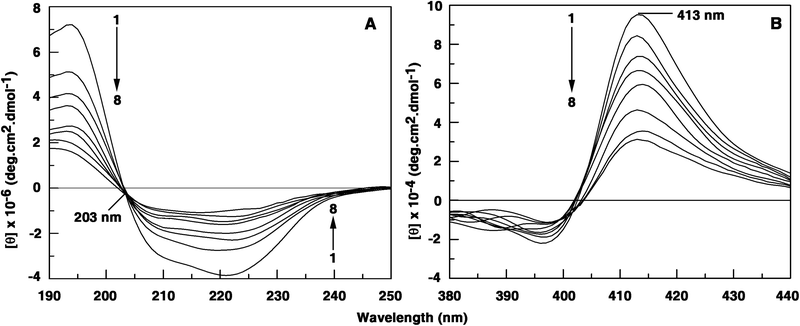 (panel A) Intrinsic circular dichroism (far UV CD) spectral changes of Hb (1 μM) on interaction with 0, 2.23, 4.46, 6.66, 8.86, 11.05, 13.23 and 15.39 μM of palmatine. (panel B) Soret band CD spectral changes of Hb (5 μM) on interaction with 0, 2.67, 5.35, 8.02, 10.67, 13.33, 15.98 and 18.63 μM of palmatine.