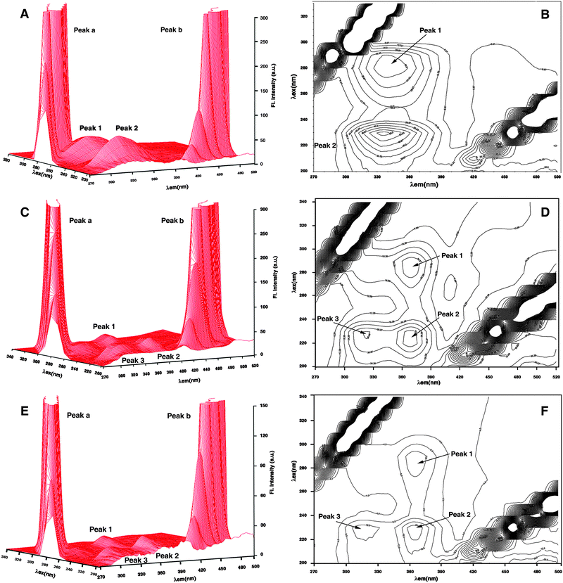 Three-dimensional fluorescence and contour spectra of Hb (A, B), Hb–berberine (C, D) and Hb–palmatine (E, F) complexes.