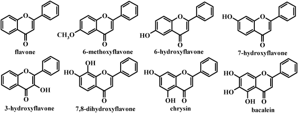 Chemical structures of the flavones in this study.