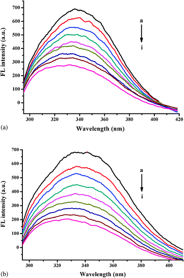 The quenching effect of baicalein on HSA fluorescence spectra in the absence (a) and presence (b) of glucose. λex = 295 nm; HSA, 10.00 mmol L−1; a–i: 0.00, 1.00, 2.00 ... 8.00 (× 10−6 mol L−1) of baicalein.