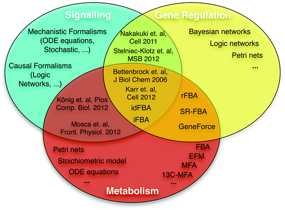Overview of formalisms for modelling signalling, gene regulatory, and metabolic networks. Multiple formalisms and simulation methods can be used to model and analyse each biological system. Due to specific biological features, some mathematical formalisms are more suitable for specific systems (see main text). Some methods can model different types of systems, using either different (e.g. SR-FBA40) or the same mathematical formalism.47 Specific references are only used for the cases where a general term is not available; see main text for more references. Bettenbrock et al.,44 iFBA,49 idFBA50 and Karr et al.6 represent the first efforts to integrate the three different systems. König et al.47 and Mosca et al.48 presented a metabolic ODE model approximately integrating the hormonal control via insulin, glucagon and epinephrine as underlying signalling networks are not incorporated.