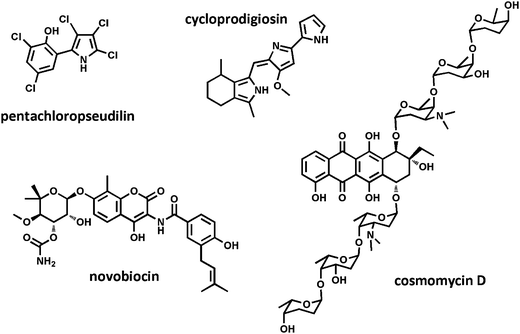 Natural product antibiotics isolated from our microbially-derived extract library.