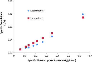 Experimental and simulated growth rates at various glucose uptake rates from Rhee et al.11