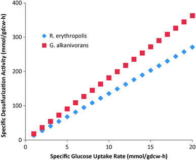 Effect of specific glucose uptake rates on specific desulfurizing activity of G. alkanivorans and R. erythropolis.