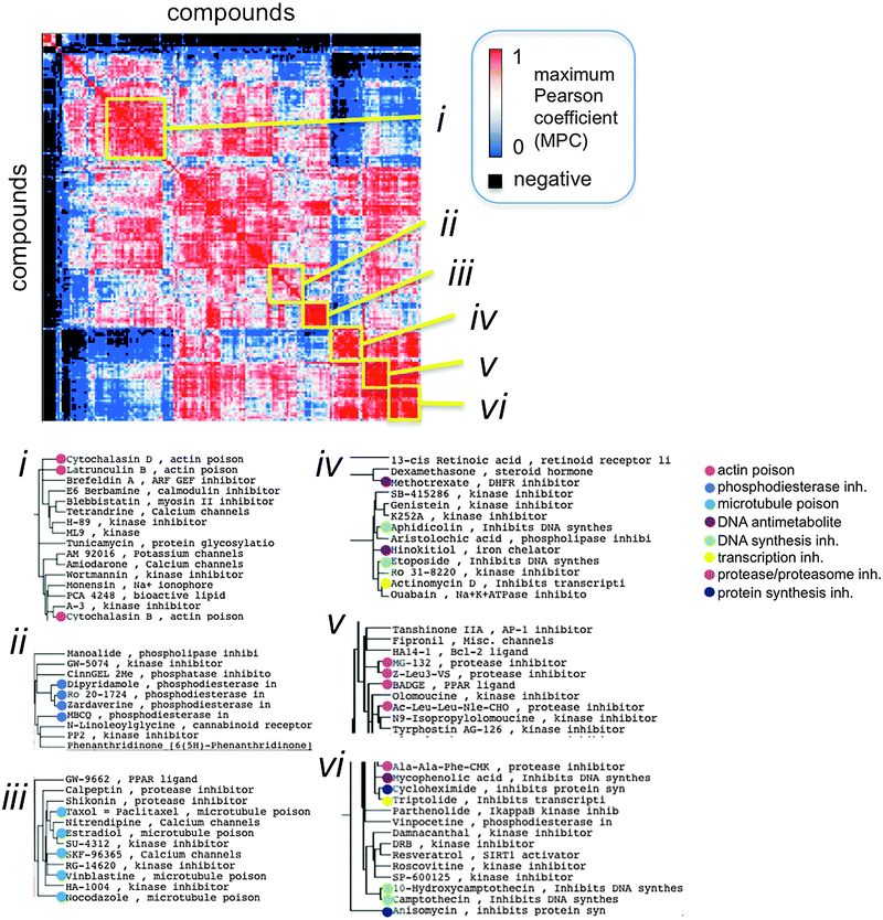 Large-scale cytological profiling for functional analysis of