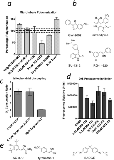 Large-scale cytological profiling for functional analysis of