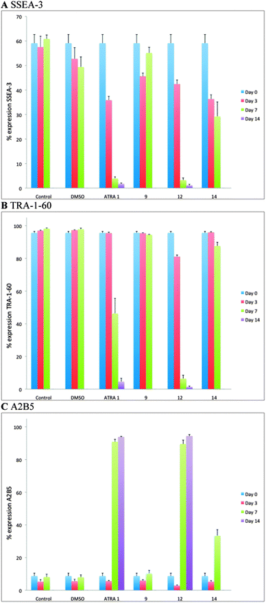 Flow cytometric analysis of the induction of TERA2.cl.SP12 cell differentiation in response to retinoids. Markers of stem cells (SSEA-3 and TRA-1-60, A and B respectively) and neural differentiation (A2B5, C) were differentially regulated during the 14 day culture period in response to 10 μM ATRA, 9, 12 and 14. Both ATRA and 12 (AH61) resulted in a rapid decrease in expression of the stem cell markers and reciprocal increase in neural marker expression after 14 days. Treatment with 9 and 14 did not induce differentiation; cells continued to proliferate and the experiment was terminated after 7 days as a results of being over-confluent. Data represent mean ± SEM, n = 3.