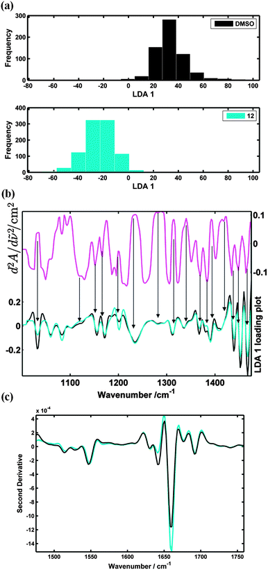 (a) PC-LDA analysis, 2 PCs extracted, spectra transformed to second derivative and then auto-scaled. Histograms display where the DMSO and synthetic retinoid 12 (AH61) treated TERA2.cl.SP12 cells lie in the LDA 1 scores plot after 7 days; (b) (upper curve) LDA 1 spectral loading, which shows the wavenumbers that contribute to the separation seen from the PC-LDA analysis (lower curves) mean spectra of the DMSO and 12 (AH61) treated cells (fingerprint spectral range); (c) mean spectral comparison of the DMSO and 12 (AH61) treated cells (protein spectral range). (Note that a positive absorption band will appear as a negative “peak” in the second derivative but at the same wavenumber position as the original.)