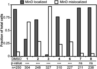 Localization of MinD in B. subtilis cells treated with 1–8. Grey bars and white bars represent cells with MinD localization and without MinD localization, respectively. The addition of 1–6 reduced the localization of MinD. Localization of MinD to the poles and the midcell of dividing cells remained normal in the DMSO solvent control. P-values from a Fisher's exact test comparing DMSO with treatments are represented as *** for p < 0.001 and ns as not significant. The p-values for 7 and 8 are 0.3778 and 0.1644, respectively. The number of cells analyzed in each treatment is listed as ‘n’.