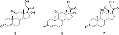 Structures of glucocorticoid (5, 6) and mineralcorticoid (7) hormones.