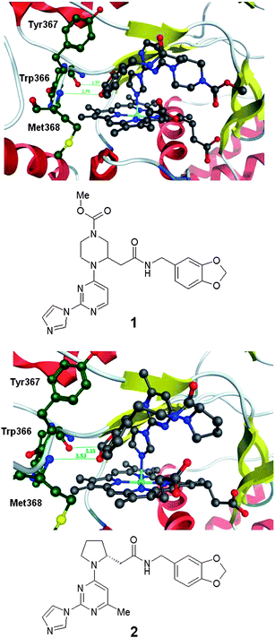 Protein–ligand crystal structure of compounds 1 and 2 in complex with monomeric iNOS.8