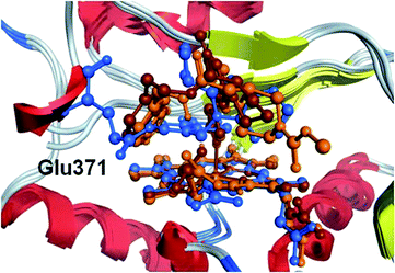 Protein–ligand complex structures of compounds 1 (orange), 2 (brown) and 3 (blue) overlaid using the inner ring of the heme porphyrin.