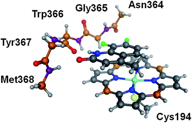 The quantum mechanical model system extracted from the complex of 3 with monomeric iNOS.