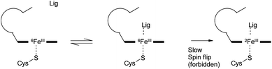 Potential mechanism of inhibition for compounds that form a direct interaction with iron not available to other ligand types.