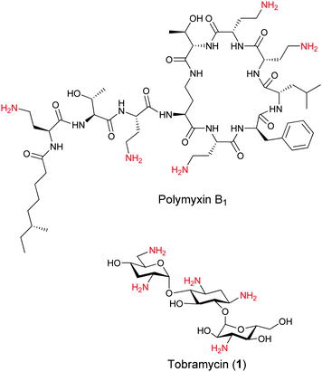 Structures of the Gram-negative bacteria targeting polymyxin B1 and the bacterial ribosome targeting aminoglycoside tobramycin.