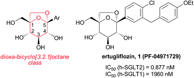 
          Dioxa-bicyclo[3.2.1]octane SGLT2 inhibitor ertugliflozin.