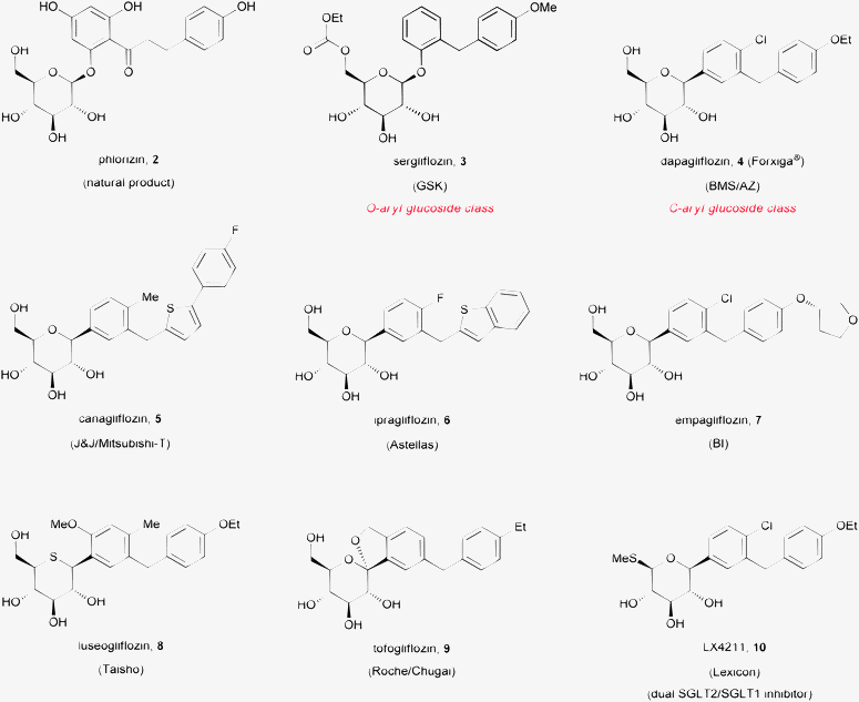 Structure of some SGLT2 inhibitor clinical candidates.