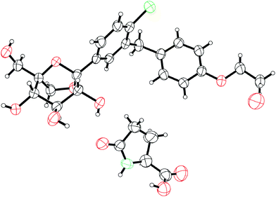 ORTEP representation of the X-ray crystal structure of a co-crystal of ertugliflozin. (molecule of water also shown).