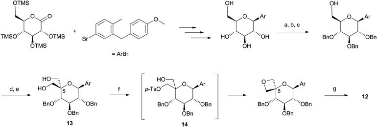 Multigram-scale synthesis of spirooxetane C-glycoside 12. Reagents and conditions: (a) PhCH(OMe)2 (1.3 equiv.), p-TsOH (cat.), DMF, 60 °C; (b) BnBr (3 equiv.), NaH (3 equiv.), DMF, 0 to 23 °C, (82%, 2 steps); (c) LiAlH4 (5 equiv.), AlCl3 (4 equiv.), Et2O/CH2Cl2, reflux, (90%); (d) (COCl)2, DMSO, Et3N, CH2Cl2, −78 to −20 °C; (e) NaOH (1.5 equiv.), H2CO, H2O/1,4-dioxane, 23 °C, (45%, 2 steps); (f) n-BuLi (1 equiv.), then p-TsCl, then n-BuLi (another 1 equiv.), THF, 0 to 65 °C, (65%); (g) Pd black (3 equiv.), HCO2H (80 equiv.), EtOH/THF, 23 °C, (95%).