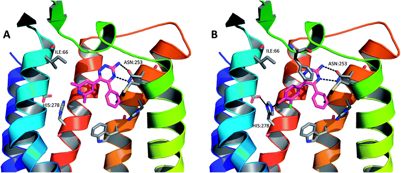 The X-ray crystal structures of (A) compound 17 in complex with A2A StaR2 (PDB code 3UZA) and (B) compound 18 in complex with A2A StaR2 (PDB code 3UZC). In both structures, the aminotriazine can be seen H-bonding to Asn253; in (B), the hydroxyl group of 18 can be seen to H-bond to His278. Helices 3 and 4 have been removed from the GPCRs for clarity.
