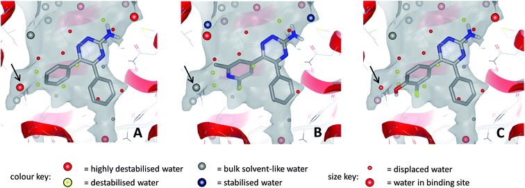 Relative energies of water molecules within the binding site networks for compound 13 (A), compound 17 (B) and compound 18 (C); calculations performed with SZMAP. In all cases, several destabilised and highly destabilised water molecules are displaced by the ligands. For waters indicated by arrows: (A) water is highly destabilised relative to bulk solvent; (B) water is stabilised by pyridyl N and is comparable in energy to bulk solvent; (C) water is displaced by phenolic OH.