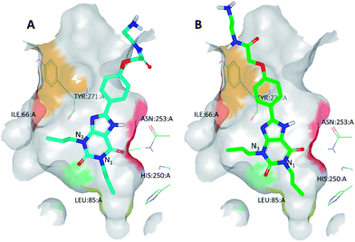 (A) The best-scoring binding mode of XAC observed during molecular modelling studies; (B) the refined binding mode of XAC which takes into account BPM data. This refined binding mode was later found to be broadly in agreement with the binding mode observed by X-ray crystallography (see Fig. 9). Heat map colouring is explained in Table 2.