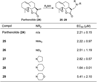 
          Parthenolide and its amino-prodrugs 25–29 with anti-HCV effects in cellular assays.