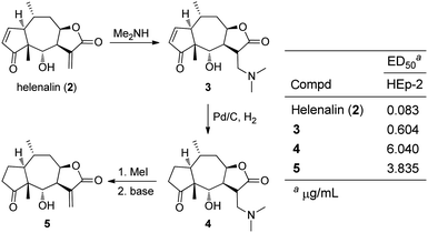 Synthesis and antiproliferative activities of amino-derivatives of helenalin (2).