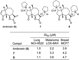 Structures of ambrosin (6) and its amino-derivatives 7–8 along with antiproliferative assay data.