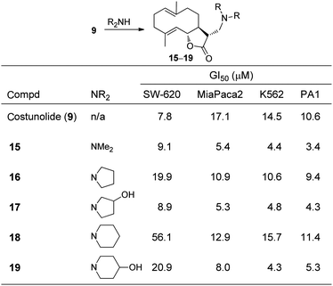 
          Amine-adducts of costunolide (9) and antiproliferative activities.